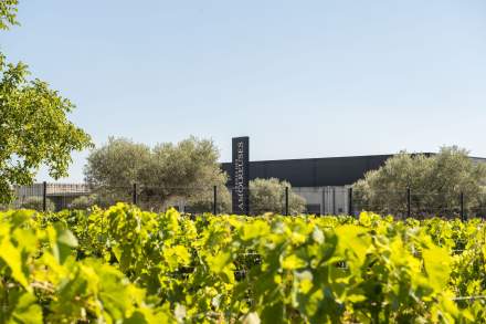 Domaine viticole Les Amoureuses