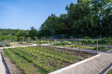 Herbarium in der Domaine du Colombier gegenüber der Küche des mit einem Stern ausgezeichneten Gourmetrestaurants