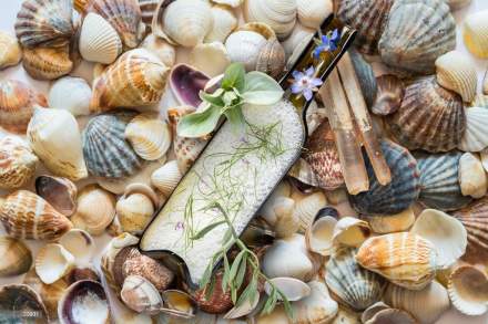 Restaurant étoilé, le Domaine du Colombier à Malataverne, en Drôme Provençale 