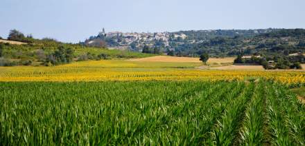 Drôme Tourisme · Domaine du Colombier à Malataverne · Visiter la Drôme Provençale