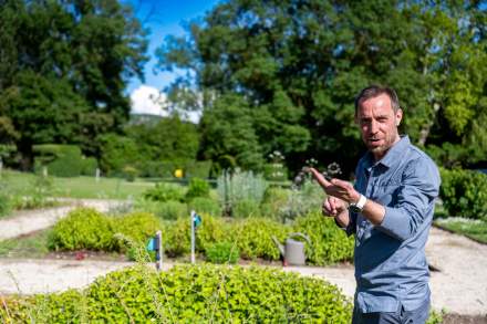 → Domaine du Colombier Malataverne · Hôtel Restaurant Drôme plat