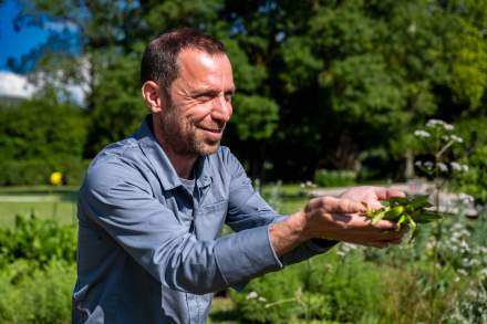 Engagements écoresponsables : Herbier aromatique et permaculture au Domaine du Colombier Malataverne