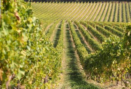 Hotel Domaine du Colombier à Malataverne, Château les Amoureuses 