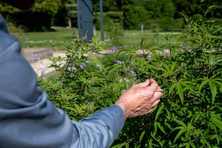 → Domaine du Colombier Malataverne · Hôtel Restaurant Drôme 