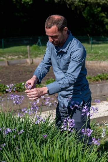 Engagements écoresponsables : Herbier aromatique et permaculture au Domaine du Colombier Malataverne